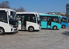 Презентация автобусов ПАЗ VECTOR NEXT в г. Артем